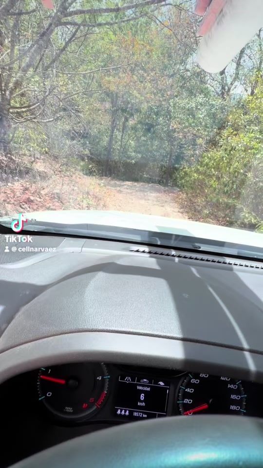 TikTok video thumbnail by cellnarvaez
