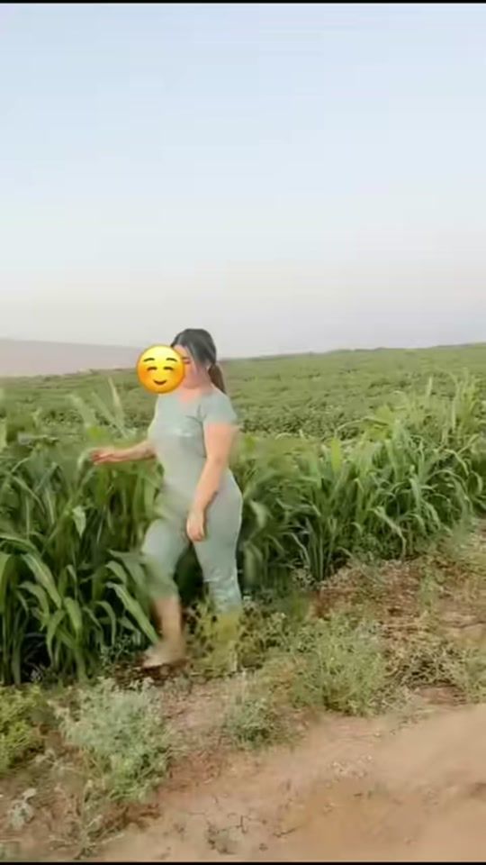TikTok video thumbnail by lano_1122