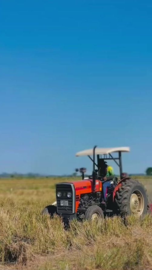 TikTok video thumbnail by tharuwa____s.a