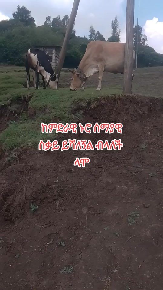 TikTok video thumbnail by gon28355