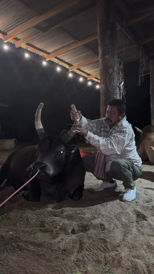 TikTok video thumbnail by ploy999p