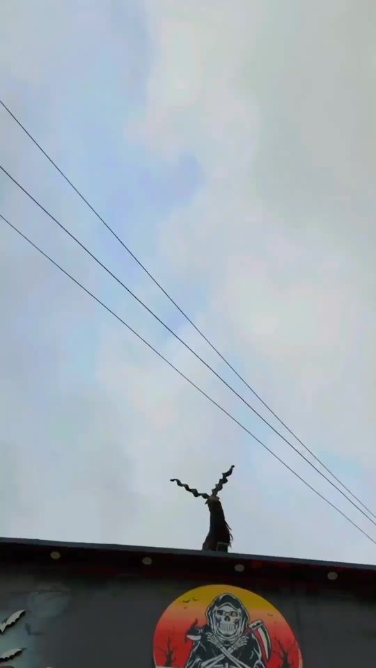 TikTok video thumbnail by dada9t50