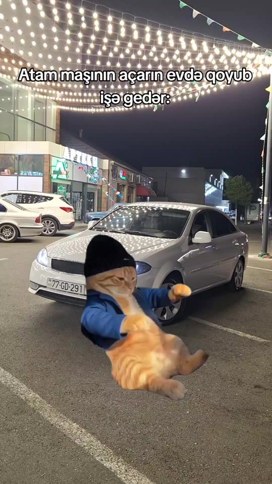 TikTok video thumbnail by _mustafayev_052