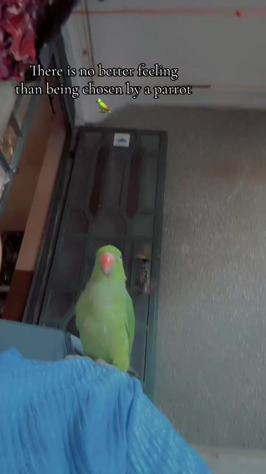 TikTok video thumbnail by shabzz10_10
