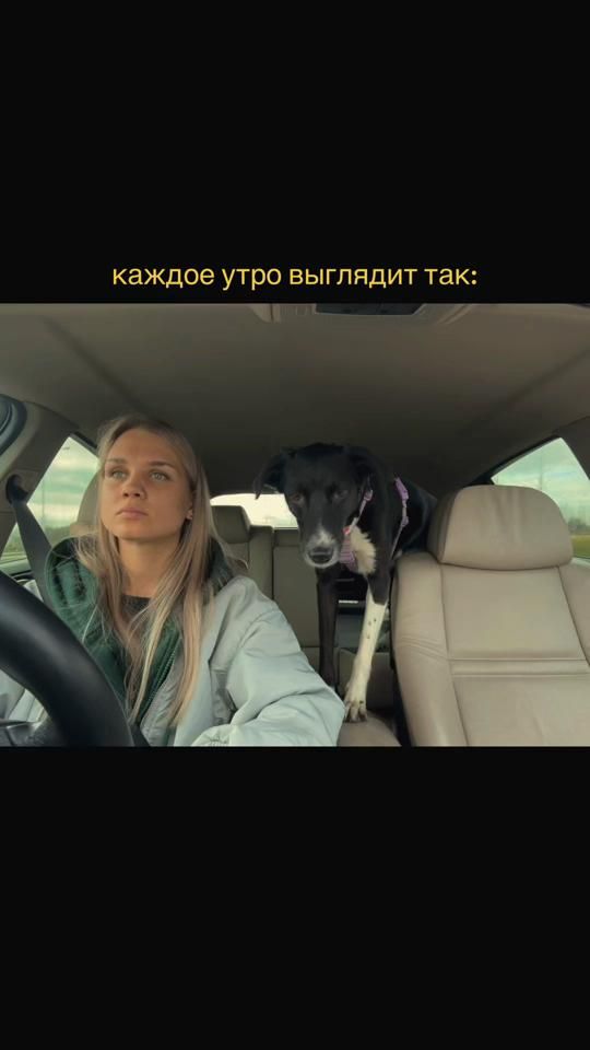 TikTok video thumbnail by katesupruns