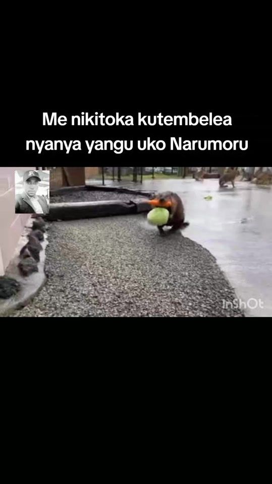 TikTok video thumbnail by jaycomedy1