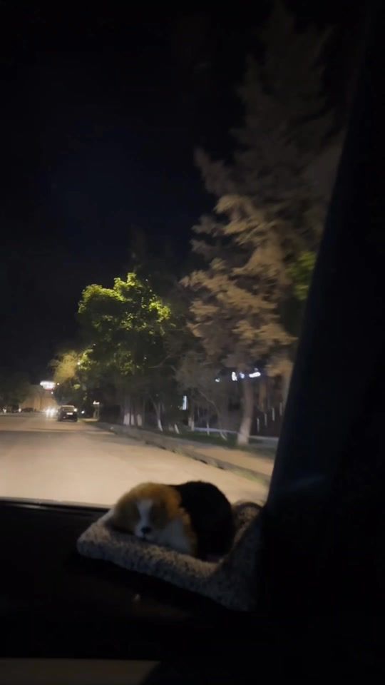 TikTok video thumbnail by _toti_salyan_