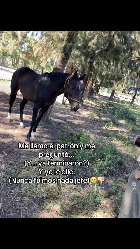 TikTok video thumbnail by daysivillegas01