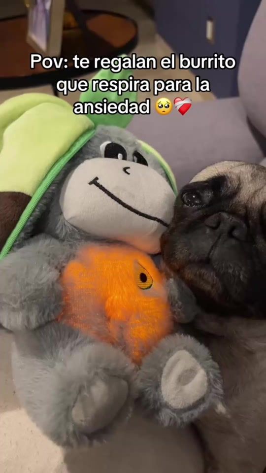 TikTok video thumbnail by libershop