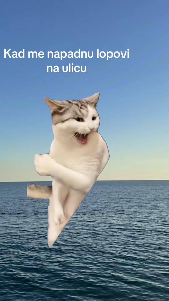 TikTok video thumbnail by salabajzer9