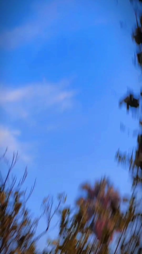 TikTok video thumbnail by abdul_wahid_65
