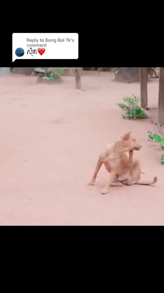 TikTok video thumbnail by .___7548