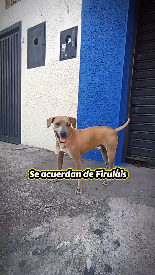 TikTok video thumbnail by playeruno_sc