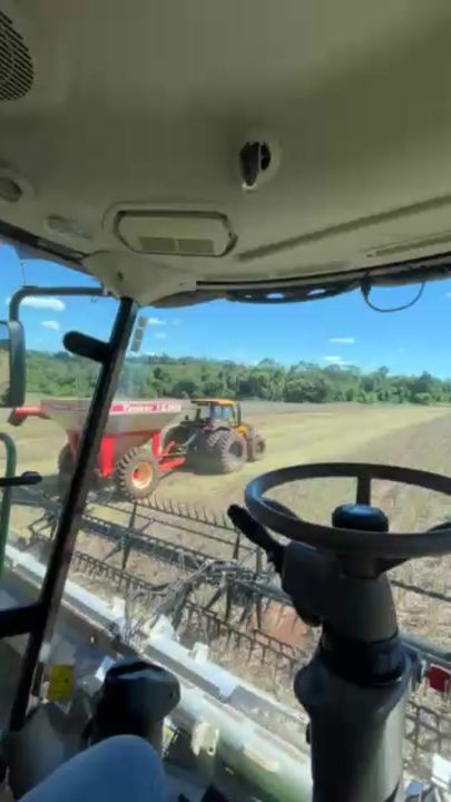 TikTok video thumbnail by maikel_leske