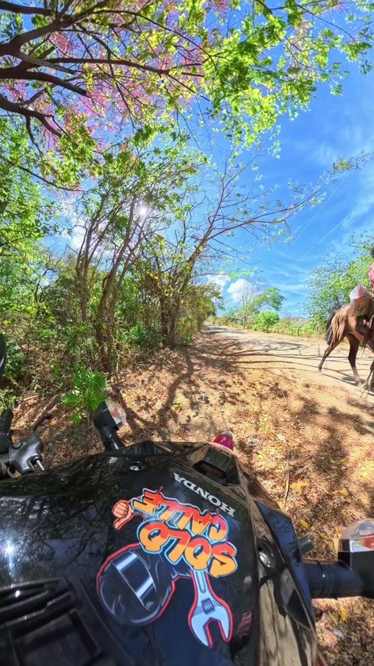 TikTok video thumbnail by solocallee