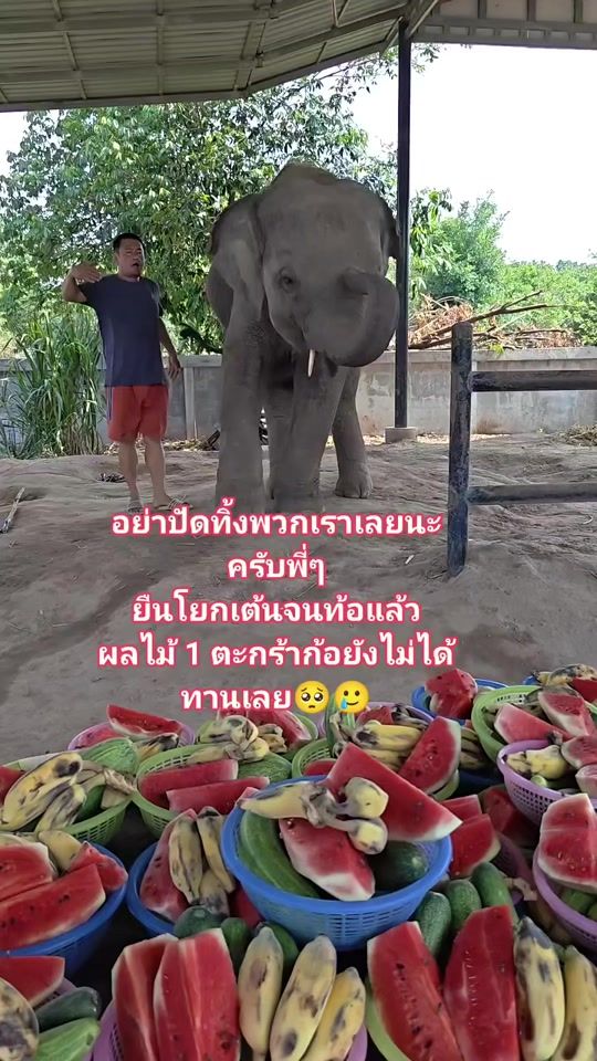 TikTok video thumbnail by nattharida10