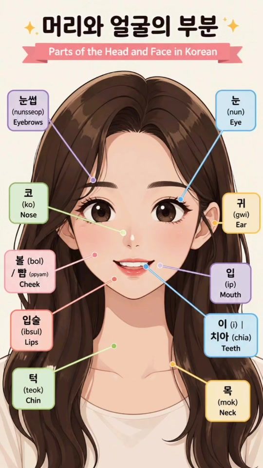 TikTok video thumbnail by korean.words5