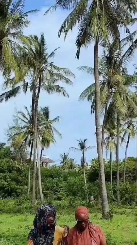 TikTok video thumbnail by mikahunda