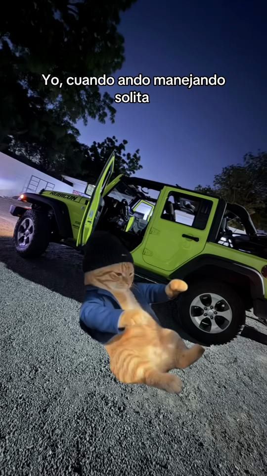 TikTok video thumbnail by ann_gb21