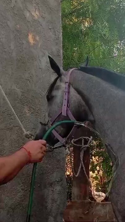 TikTok video thumbnail by alexander_buriani