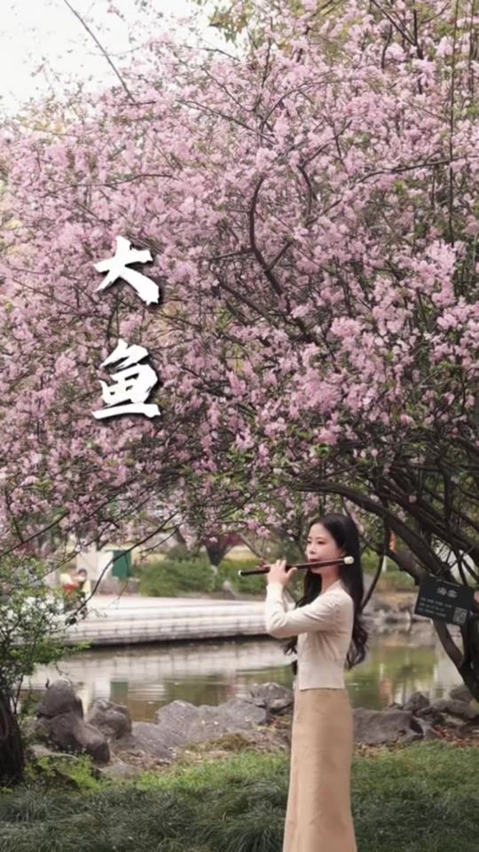 TikTok video thumbnail by xiaoniudizi