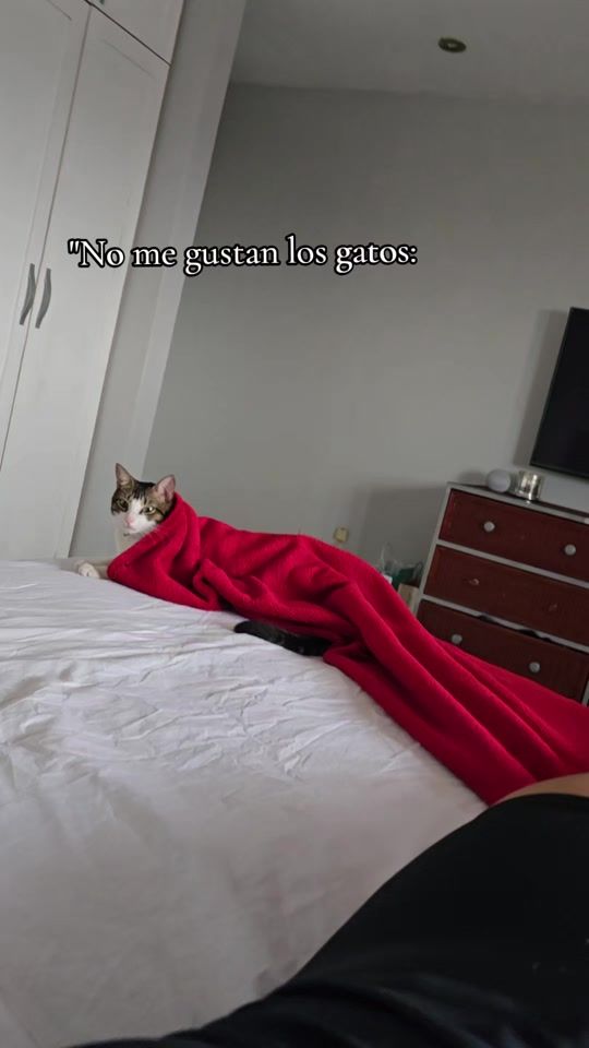 TikTok video thumbnail by valelu0815