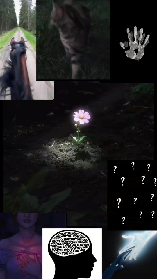 TikTok video thumbnail by dije996