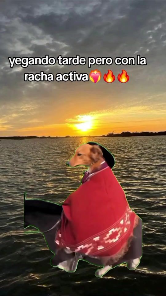 TikTok video thumbnail by brenda1_.a