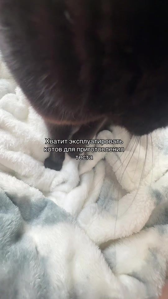 TikTok video thumbnail by nest1xss