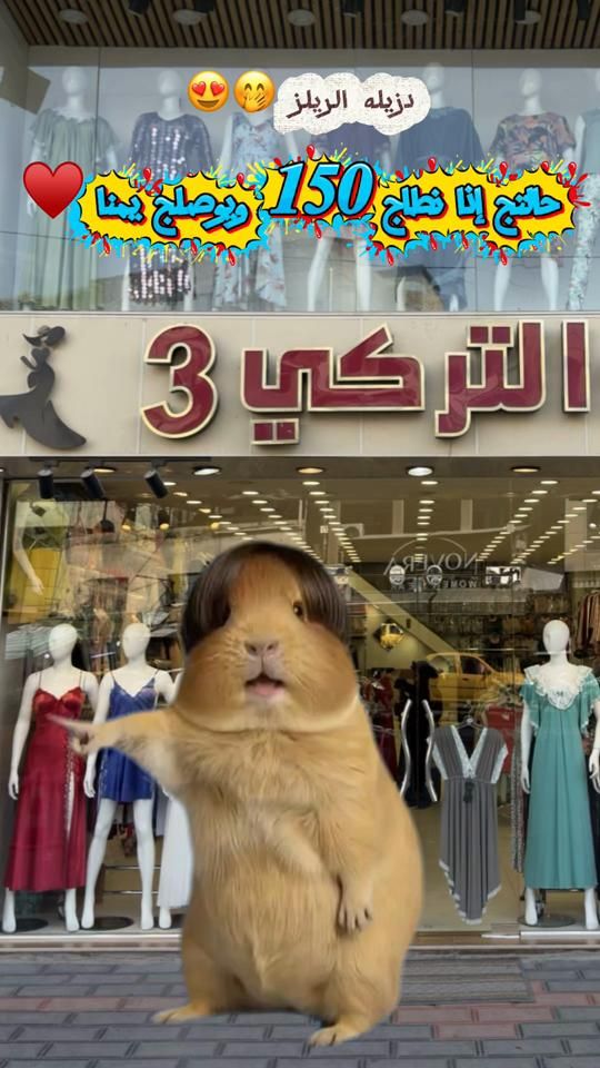 TikTok video thumbnail by tk.tk.30