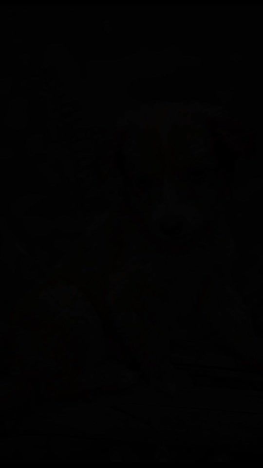 TikTok video thumbnail by enulagamaval