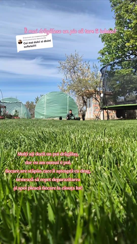 TikTok video thumbnail by natalia.19908