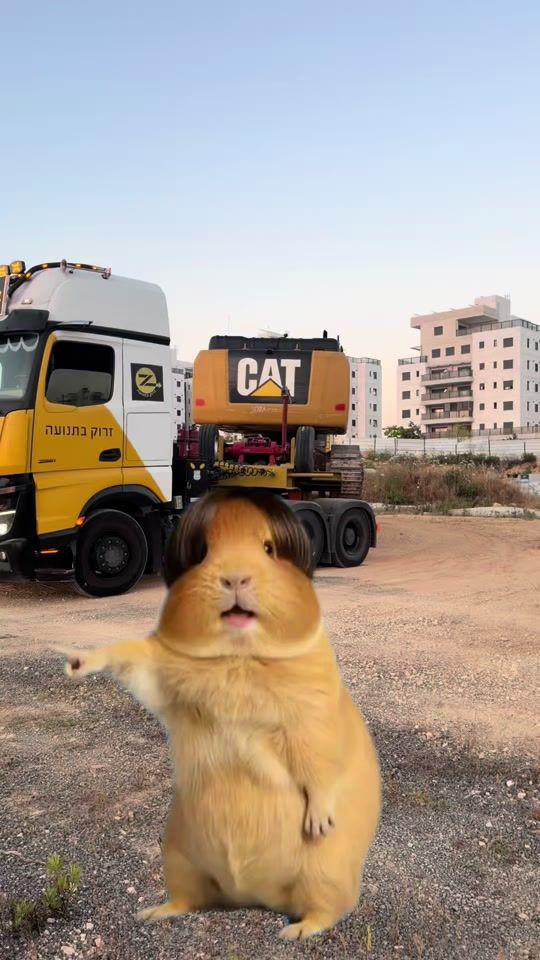 TikTok video thumbnail by adam5850001
