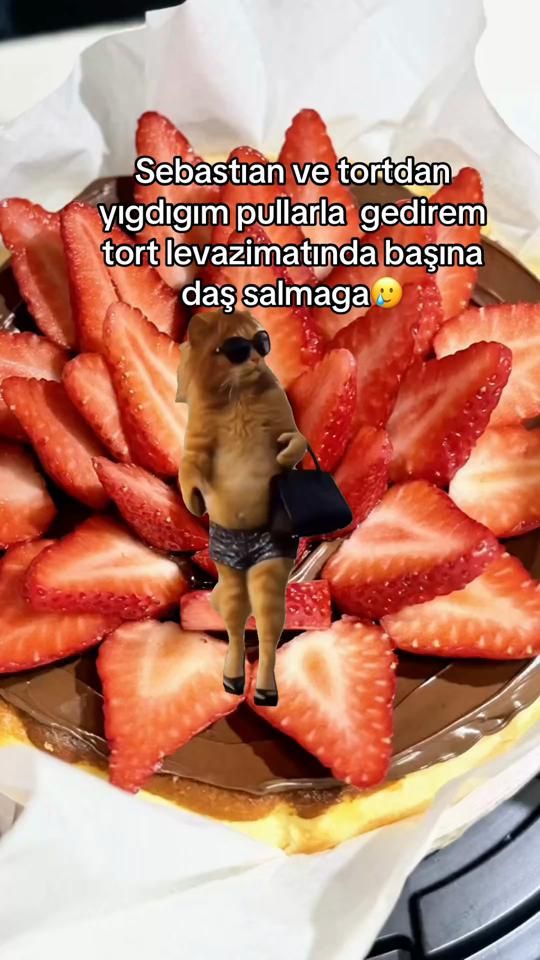 TikTok video thumbnail by gun_sweet_bite