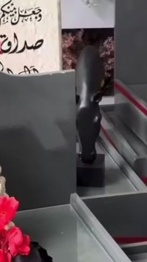 TikTok video thumbnail by dody234678