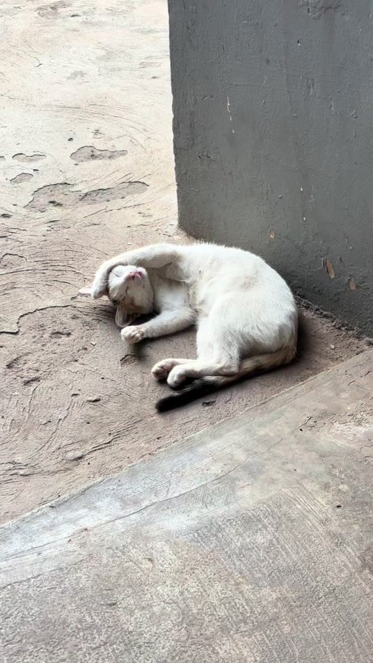 TikTok video thumbnail by edohyat_24
