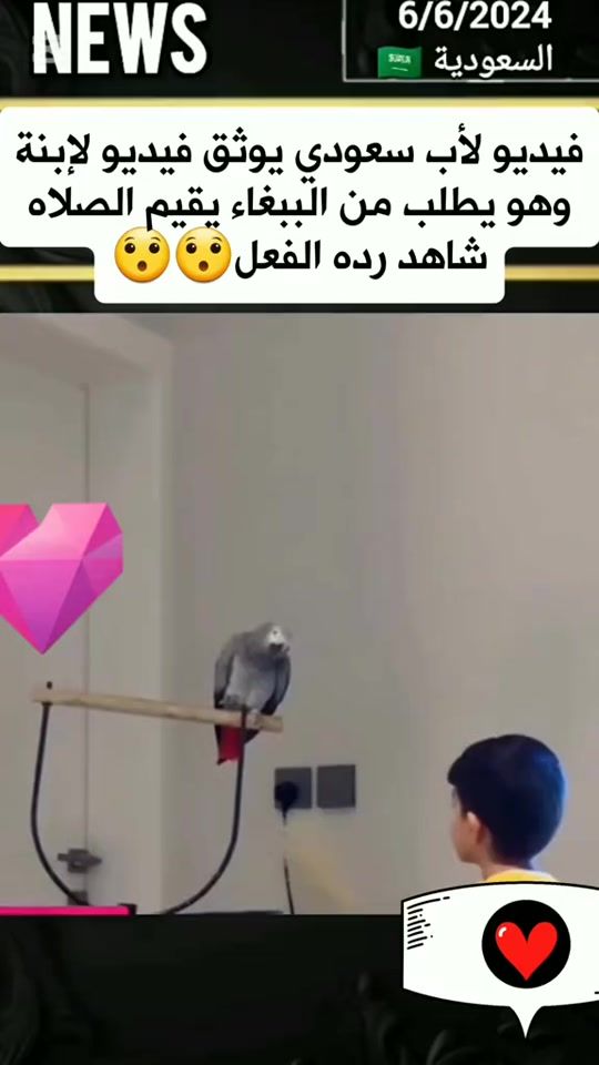 TikTok video thumbnail by alkalamaltayab