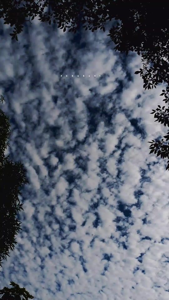 TikTok video thumbnail by gregorio.rodas6