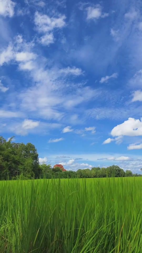 TikTok video thumbnail by tam.thort