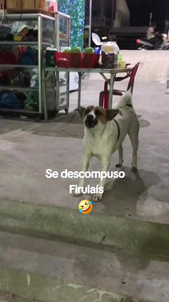 TikTok video thumbnail by eduardoosorio75