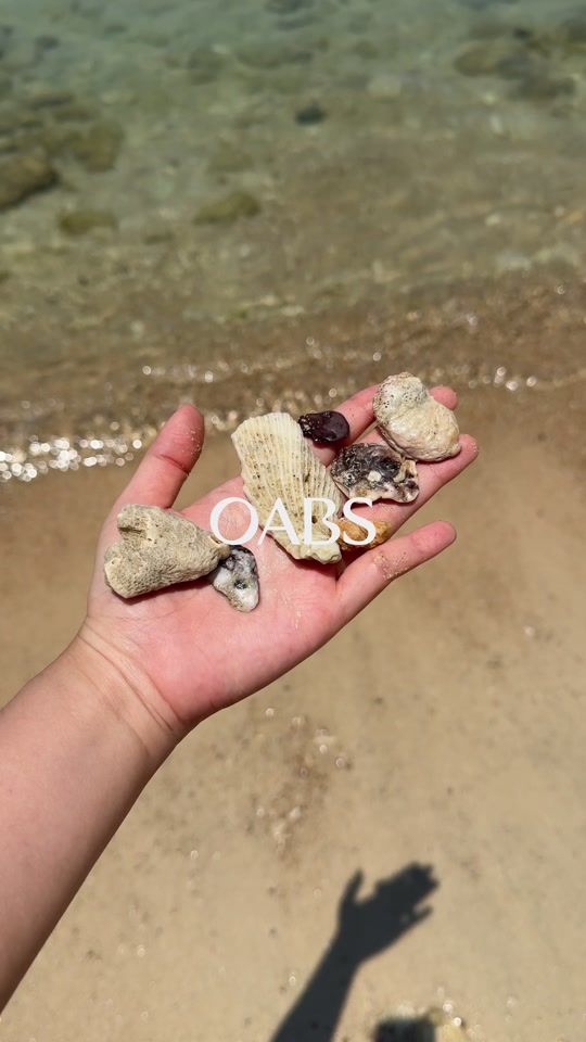 TikTok video thumbnail by oabs.official