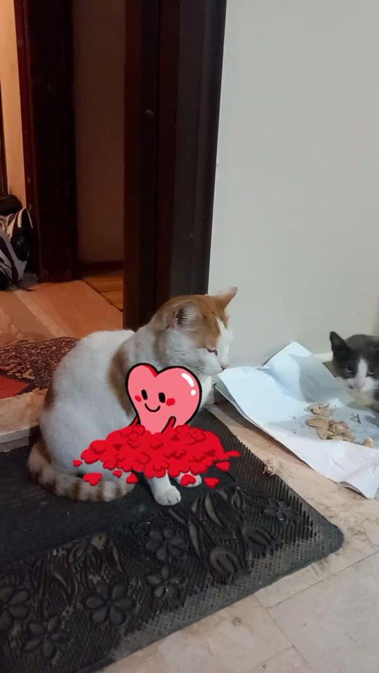 TikTok video thumbnail by mineguzelxdk