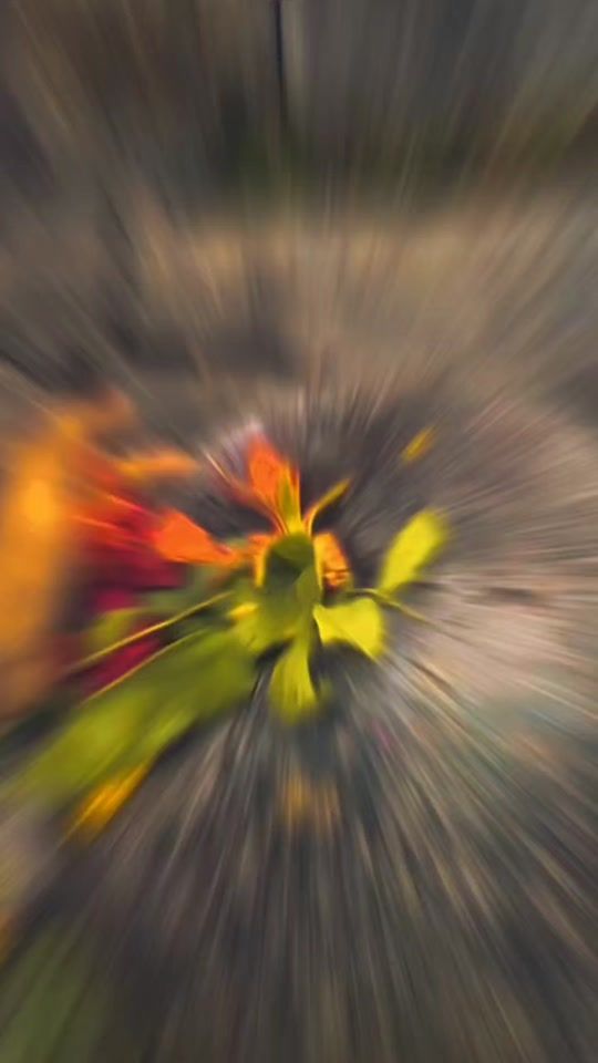 TikTok video thumbnail by sanatanigirl22