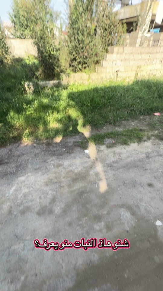 TikTok video thumbnail by iqwg98