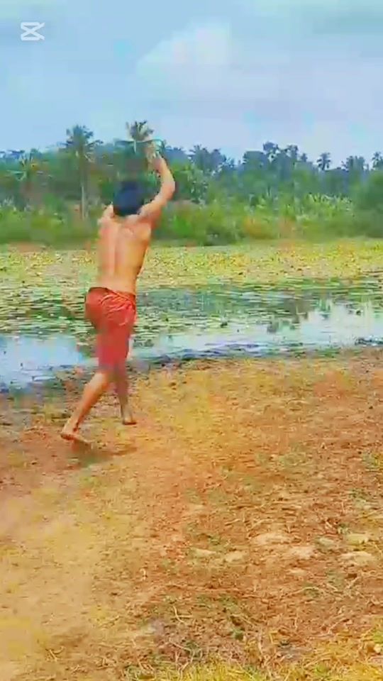 TikTok video thumbnail by vihaga_podda