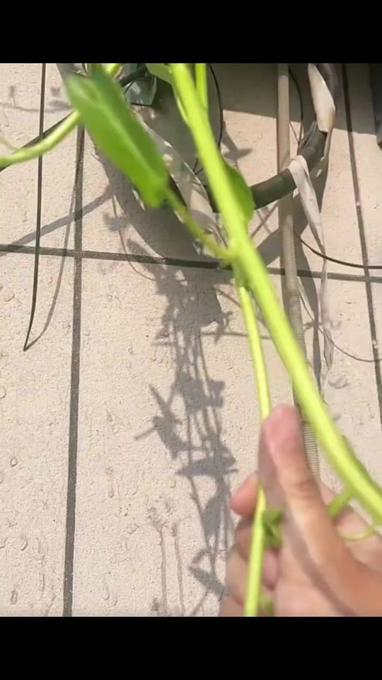 TikTok video thumbnail by user493971252175