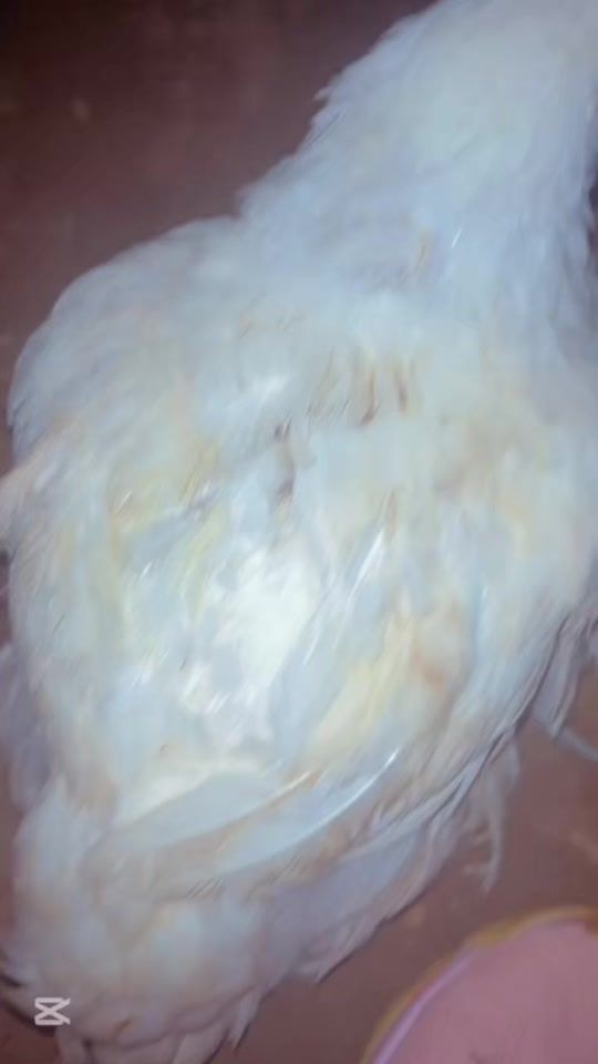TikTok video thumbnail by engtinah