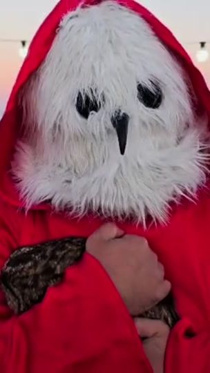 TikTok video thumbnail by comeswithitswings