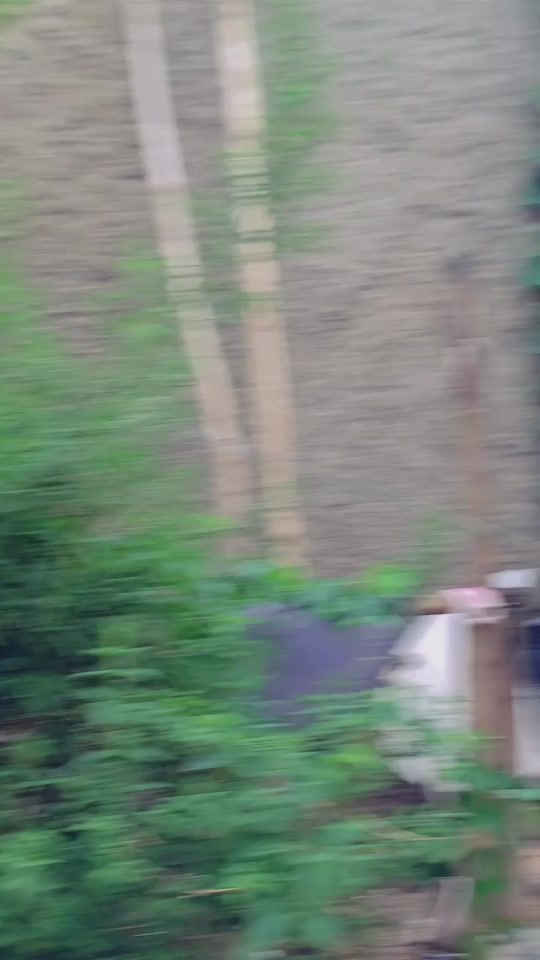 TikTok video thumbnail by myko650