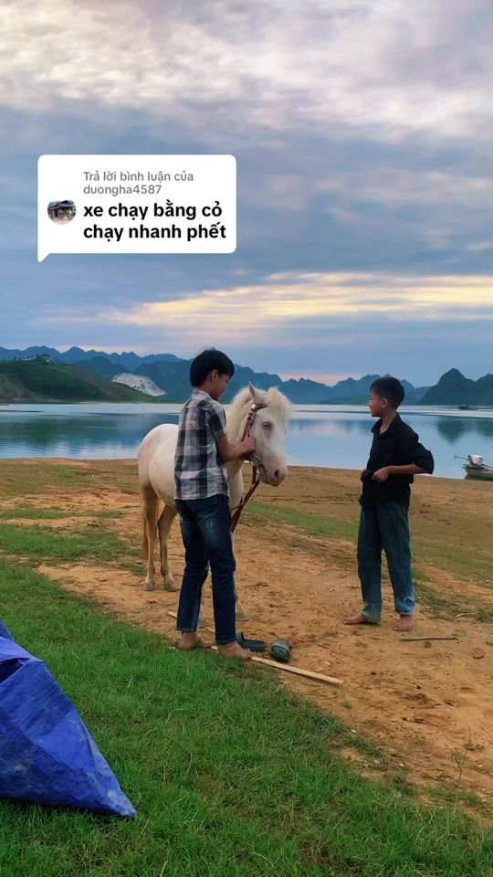 TikTok video thumbnail by ducvlg